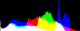 Histogram